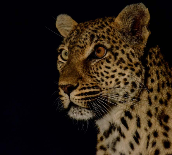 08Mike L WW On Mound 2 08Mike L WW On Mound 2