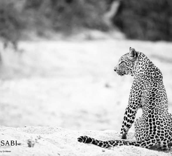 10Terry Ennever LBC 22517 1 Final 10Terry Ennever LBC 22517 1 Final