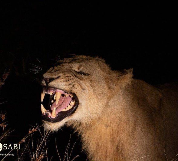 27Louise Murray Sp 11042019 2 Final