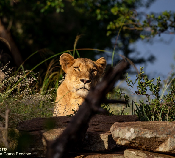 11ronald Mutero Sp 02032021 2 Final