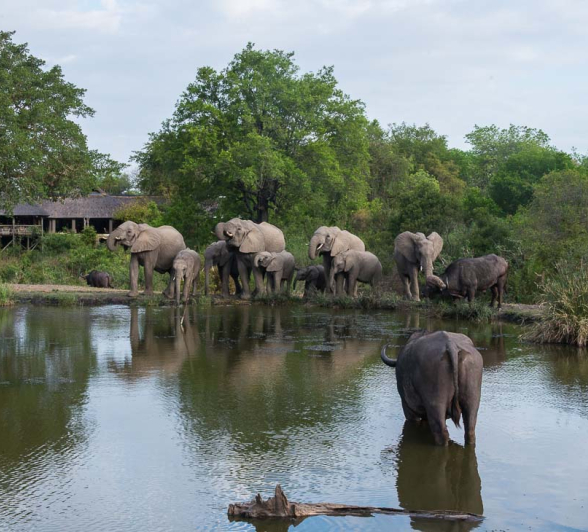 09Terry Ennever Ellie Bush