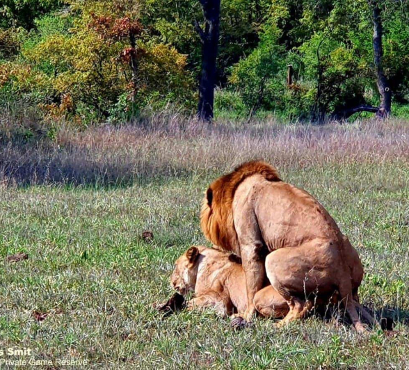 42Jacques Smit Nwas Styx 03112020 Final