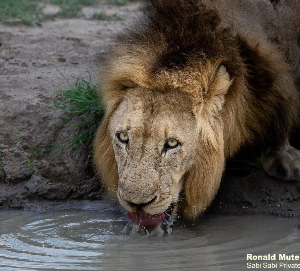 A18ronald Mutero Nwash And Khamula Female 5 Final A18ronald Mutero Nwash And Khamula Female 5 Final
