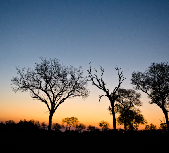 Sabi Sabi Photography 6 Sabi Sabi Photography 6