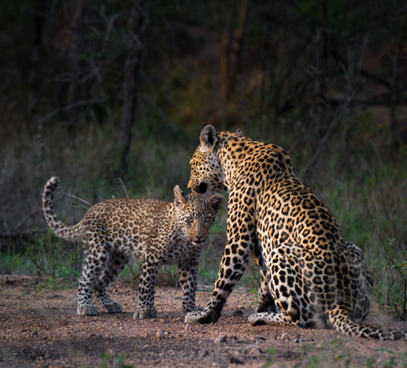 Nottins Rich Nottins Rich