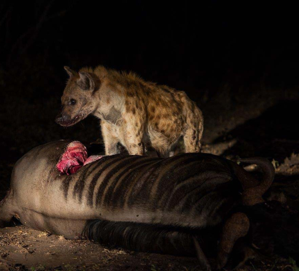 09Terry Ennever LBC Mpisi2 15 5 16 09Terry Ennever LBC Mpisi2 15 5 16