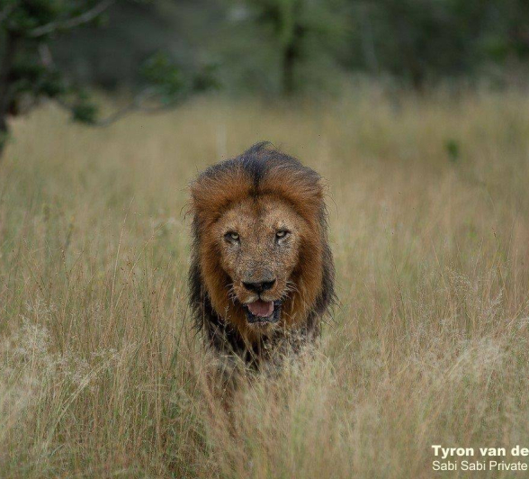 16Tyron Van Der Walt Birmingham Males 160420 6 Final
