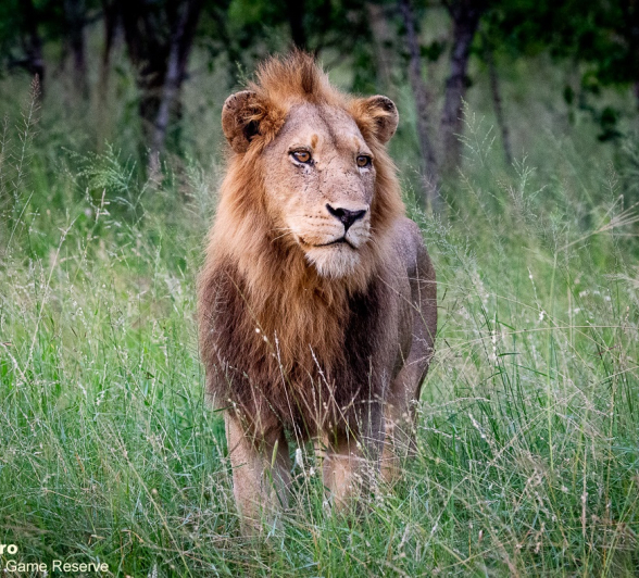 04ronald Mutero Nwash Males 24022021 5 FINAL