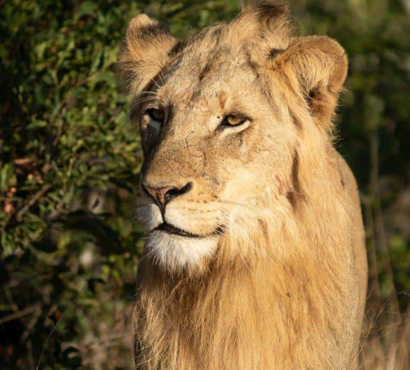 48Tyron Van Der Walt Sand River 100720 2 Final