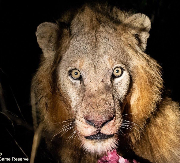 B28ronald Mutero Nwash 01082021 5 Final