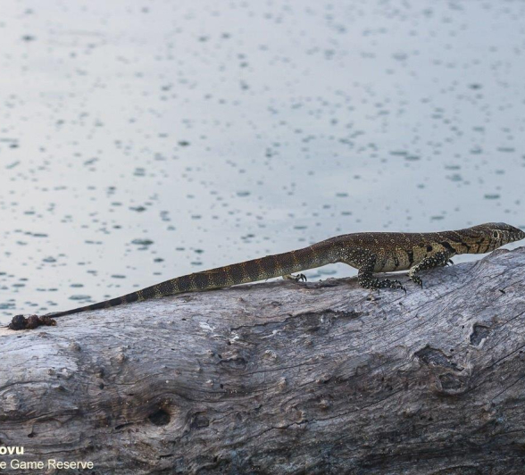 13andries.ndlovu Monitor.water 16.3.20 Final 13andries.ndlovu Monitor.water 16.3.20 Final