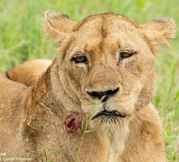 02ronald Mutero Talamati Female 01012023 2 Final