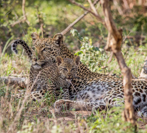 01Franscois Rosslee Lbcman