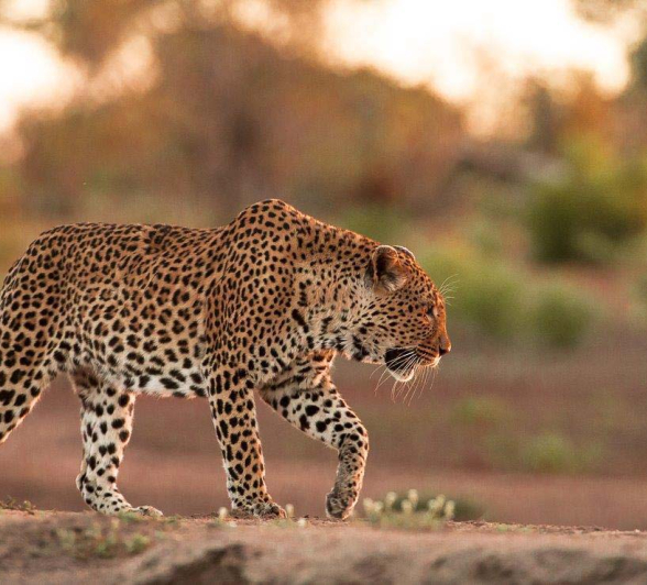 22Terry Ennever Wd And Max 4 3 16 22Terry Ennever Wd And Max 4 3 16