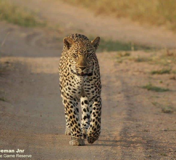 32Stefan Schoeman Jnr Msuthlu 26032020 2 Final 32Stefan Schoeman Jnr Msuthlu 26032020 2 Final