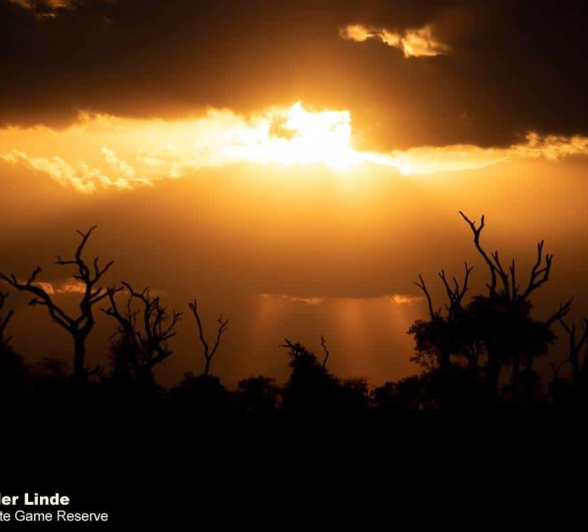 26Kevin Van Der Linde Sunset 21112018 Final 26Kevin Van Der Linde Sunset 21112018 Final