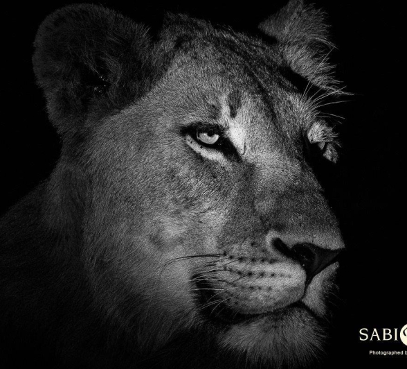 18Kerry Lee Roberg SP220319.2 Final