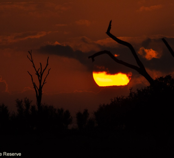 07Ronald Mutero Sunset Final 07Ronald Mutero Sunset Final