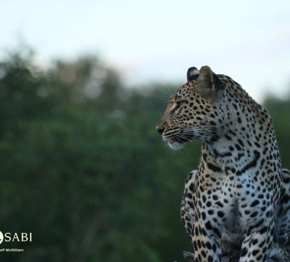 05Steff McWilliam Blog04 Final