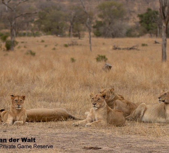 08Tyron Van Der Walt Mangeni Pride 24092019 1 Final 08Tyron Van Der Walt Mangeni Pride 24092019 1 Final