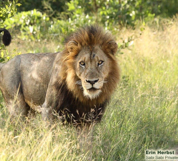 A18Erin Herbst Nwas 2 050222 Final