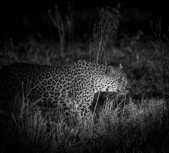 Mike Palmer Nottins Mike Palmer Nottins