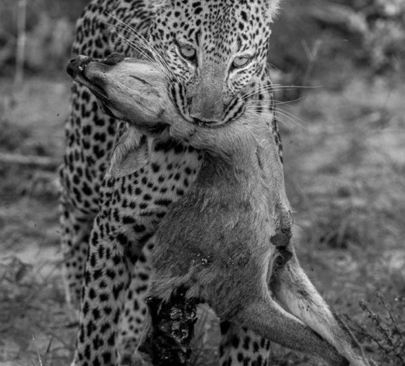 05Tayla McCurdy Lisbon And Duiker 10 April 16 2 05Tayla McCurdy Lisbon And Duiker 10 April 16 2