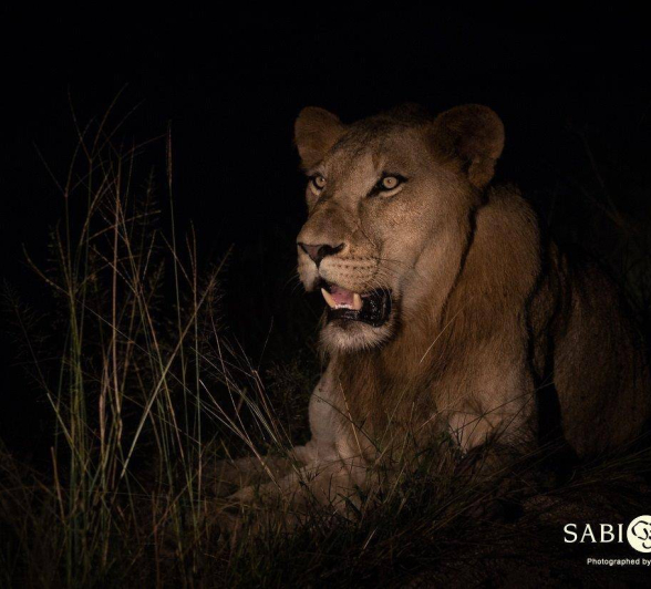 17Kevan Dobbie SP 070419 Final 17Kevan Dobbie SP 070419 Final