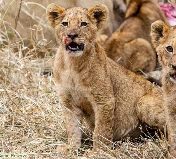 A14ronald Mutero Stix 10082021 6 Final