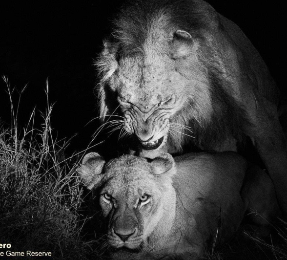 A06ronald Mutero Sp And Unknown Male 18052022 6 Final A06ronald Mutero Sp And Unknown Male 18052022 6 Final