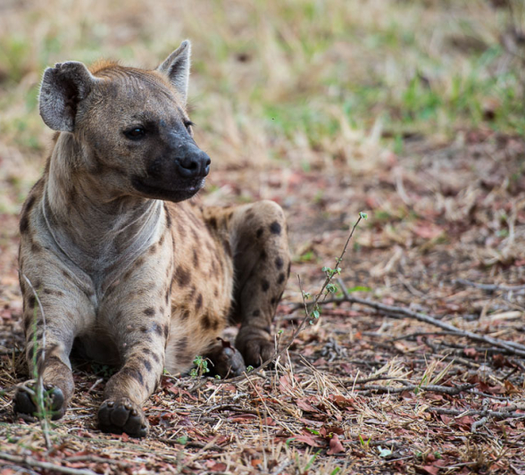 HighlightsOct Nov1.Terry 