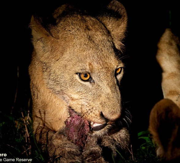 10ronald Mutero Styx 02012023  8 Final