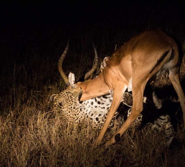 03Kosie Lategan WW Kill3 03Kosie Lategan WW Kill3