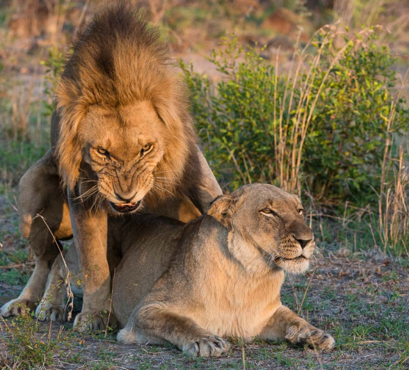 13Terry Ennever Highlights Sept Oct 6