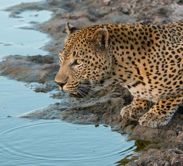 21Terry Ennever Wd And Max3 4 3 16 21Terry Ennever Wd And Max3 4 3 16