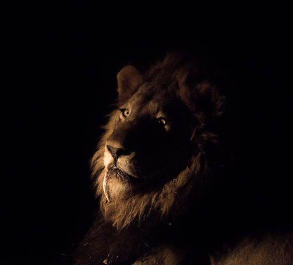 07Sheldon Hooper Pride On The Move 3 07Sheldon Hooper Pride On The Move 3