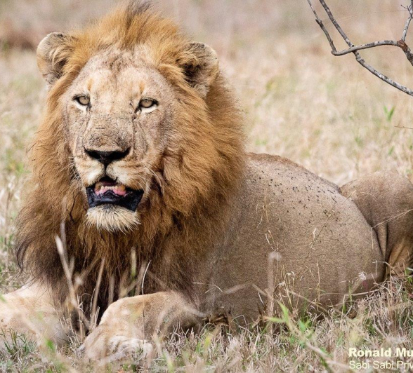 27ronald Mutero Stix And Nwash 18062021 Nr 15 Final 27ronald Mutero Stix And Nwash 18062021 Nr 15 Final