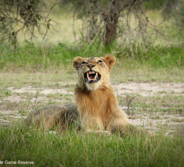 32Ally Ross 202004118 Sand River Male 01 Final