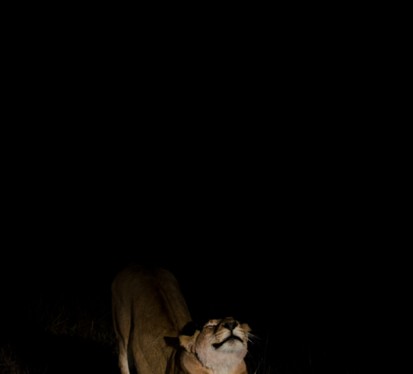 Week In Pictures 8 Week In Pictures 8