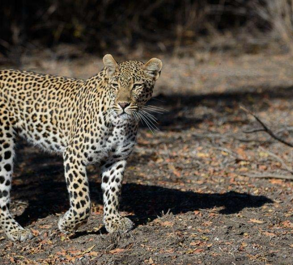 22Mike Palmer Ndzilo 120716 3 2