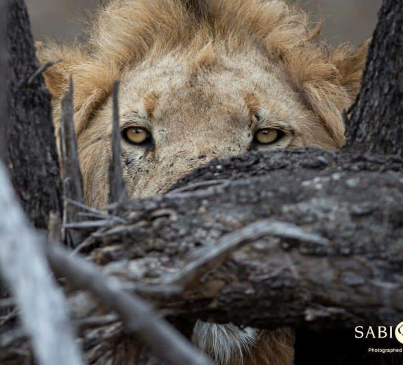 04Francois Malan Avoka Day2 20181018 2 Of 3 Final