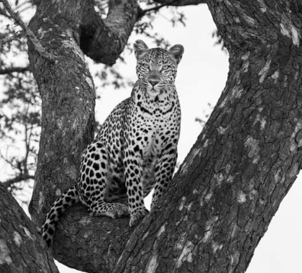 22Kevin Van Der Linde Ntsumi 23022019 Final 22Kevin Van Der Linde Ntsumi 23022019 Final