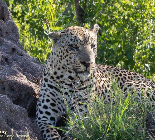 19Louise Murray Xovo 14022020 Final 19Louise Murray Xovo 14022020 Final