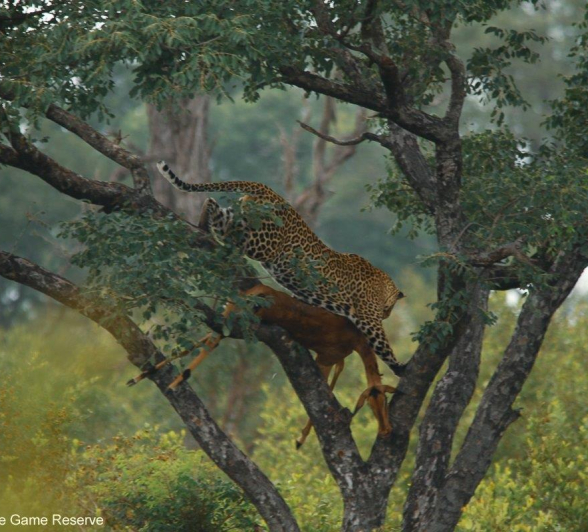 24Ally Ross 20210225 Nchila 01 FINAL