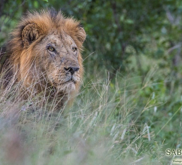 12Terry Ennever MM 20317 Final 12Terry Ennever MM 20317 Final