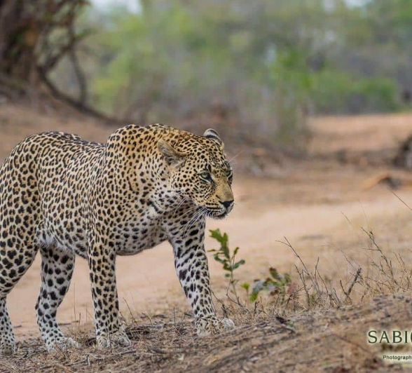 21Kevan Dobbie Nweti 011118 3 Final 21Kevan Dobbie Nweti 011118 3 Final