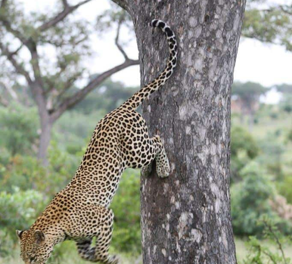 20Ally Ross 20190223 White Dam 02 Final 20Ally Ross 20190223 White Dam 02 Final