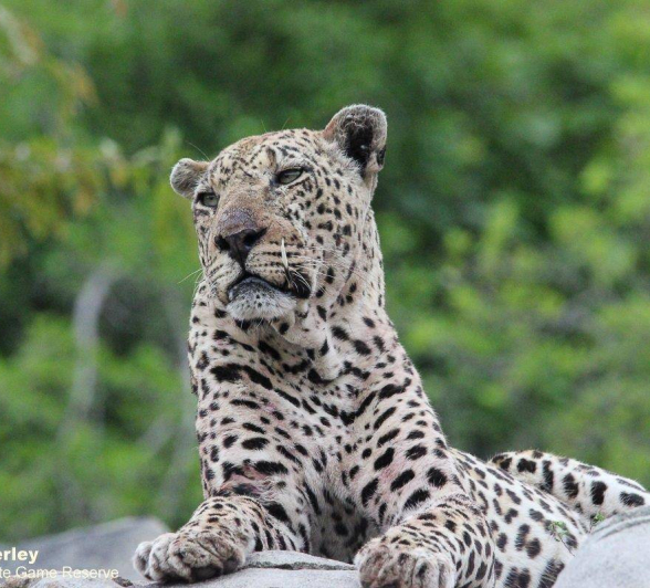 19Matt Temperley Xovo 2 30102020 Final