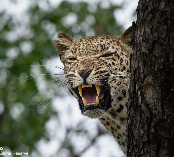 A17ronald Mutero Keegelia 14022022 4 Final