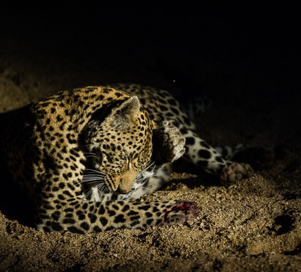 Nottins Rich 4 Nottins Rich 4